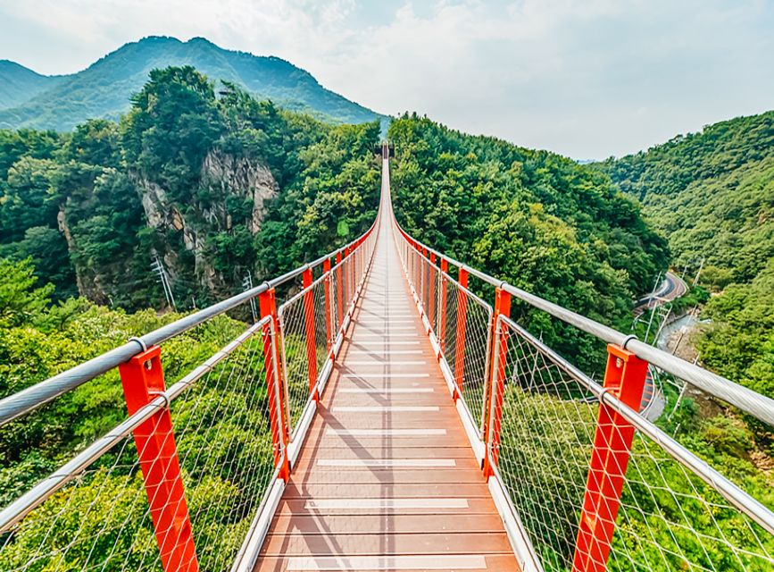 DMZ Insider Tour: 3rd Tunnel, NK Defector Meet & Red Bridge - The boat voyage option on the Imjin River