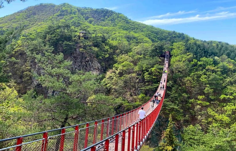 DMZ; NK Defector, 3rd Tunnel, Suspension Bridge,Hotel pickup - Why the DMZ is worth a day from Seoul