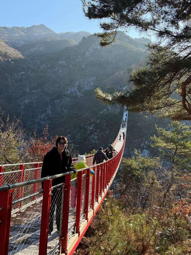 DMZ; NK Defector, 3rd Tunnel, Suspension Bridge,Hotel pickup - Guides, languages, and group style