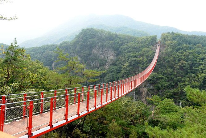 DMZ Tour: 3rd Tunnel, Option(Suspension Bridge, Boat) from Seoul - Choosing the best optional stop