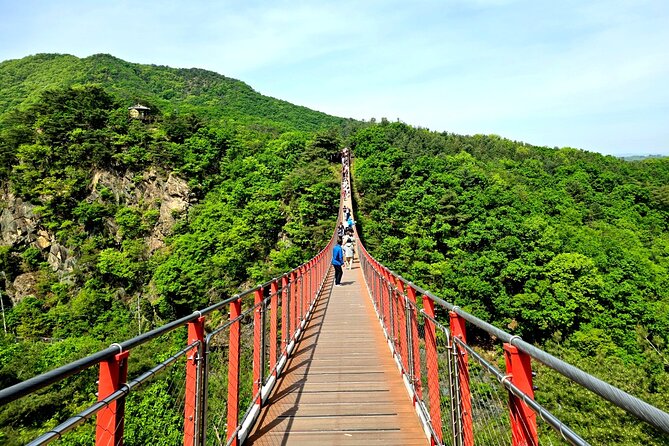 DMZ Tour from Seoul – Optional Suspension Bridge Experience - Walking into the Third Tunnel