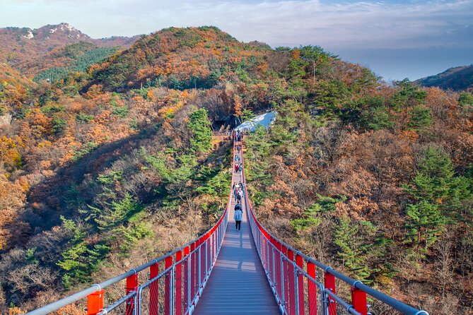 DMZ Tour Seoul to North Korea's 3rd Tunnel & Majang Lake Crossing - Why this DMZ day trip is worth your time