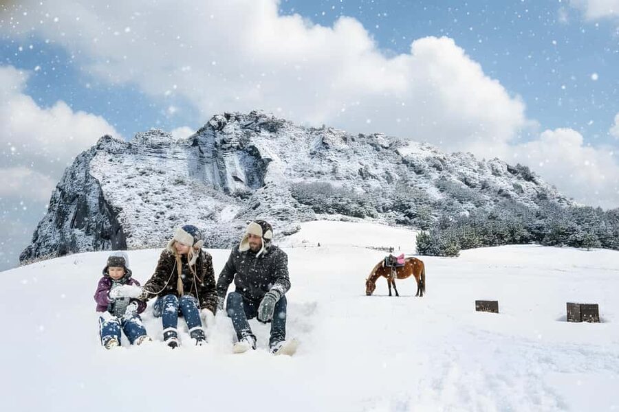 East Jeju: Day Tour with Seongsan Peak & Haenyeo Performance - Why this East Jeju day trip works for a first visit