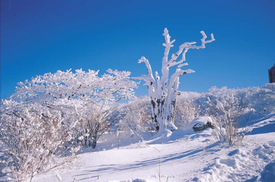 East Jeju: Day Tour with Seongsan Peak & Haenyeo Performance - Ilchul Land and Jeju’s underground volcanic world