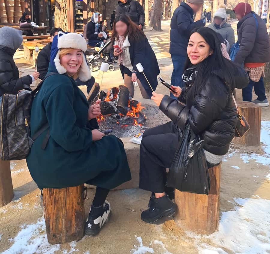 Eobi Ice Valley & Nami (+ Light Festival, Railbike, Alpaca) - How the schedule works from Seoul