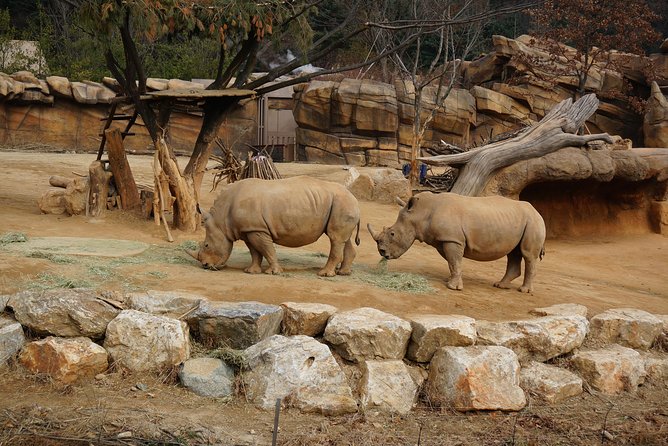 EVERLAND "From Hotel to Hotel" [Premium Private Tour: Only One Group for You] - Who Will Get the Most from This Tour?