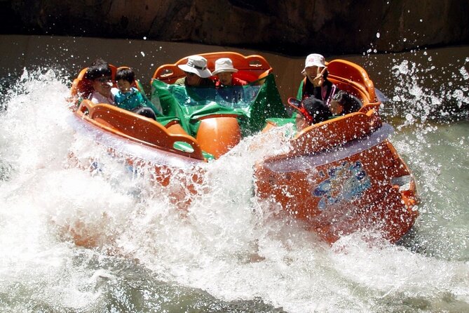 Everland Theme Park Admission Ticket with Transfer from Seoul - Who should book this Everland transfer?