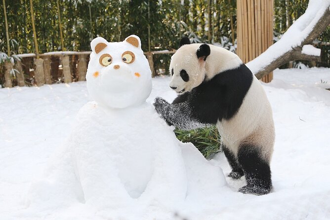 Everland Theme Park Admission Ticket with Transfer from Seoul - The ride from Seoul to Yongin