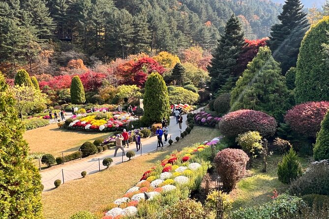 Four Seasons of Nami Island with Garden of Morning Calm Tour - What the guide adds to a busy schedule