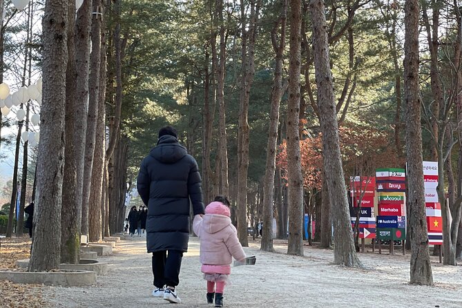 Four Seasons of Nami Island with Garden of Morning Calm Tour - Who will get the most from this tour