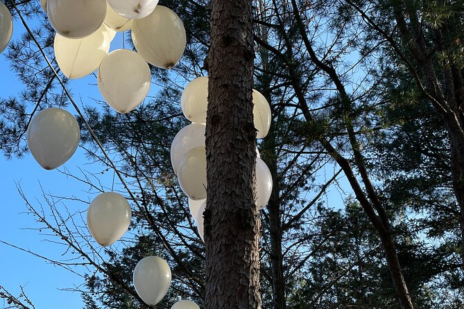 Four Seasons of Nami Island with Garden of Morning Calm Tour - Is the $88 price fair?