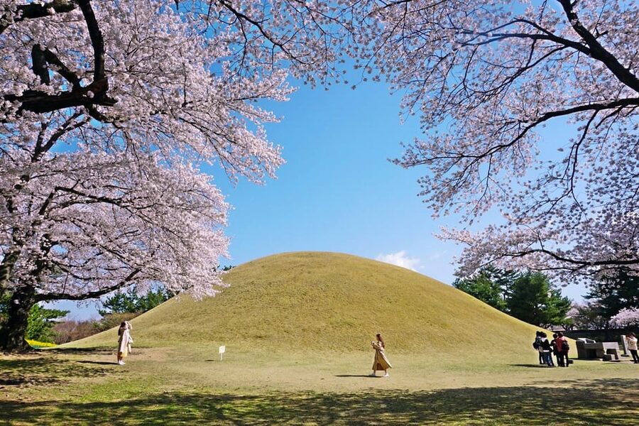 From Busan: Echoes of Silla Gyeongju Historical Day Tour - Guides make the packed schedule easier