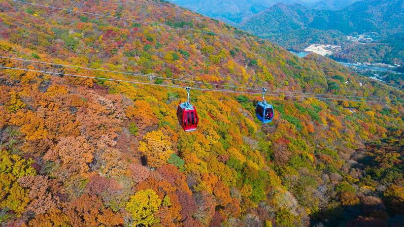 From Busan: Enchanting Oedo Island Day Tour with Windy Hill - Key points to know before booking