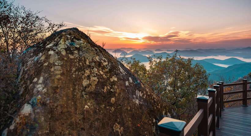 From Busan: Enchanting Oedo Island Day Tour with Windy Hill - A full day by coach means comfort matters