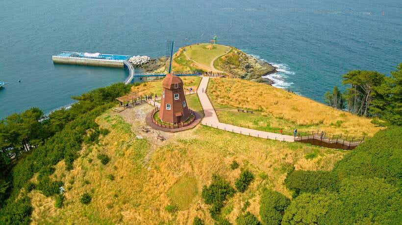 From Busan: Enchanting Oedo Island Day Tour with Windy Hill - Guides can make or break a long day