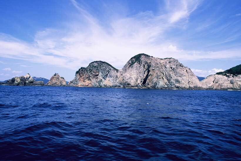 From Busan: Enchanting Oedo Island Day Tour with Windy Hill - Who will enjoy this Oedo Island day trip