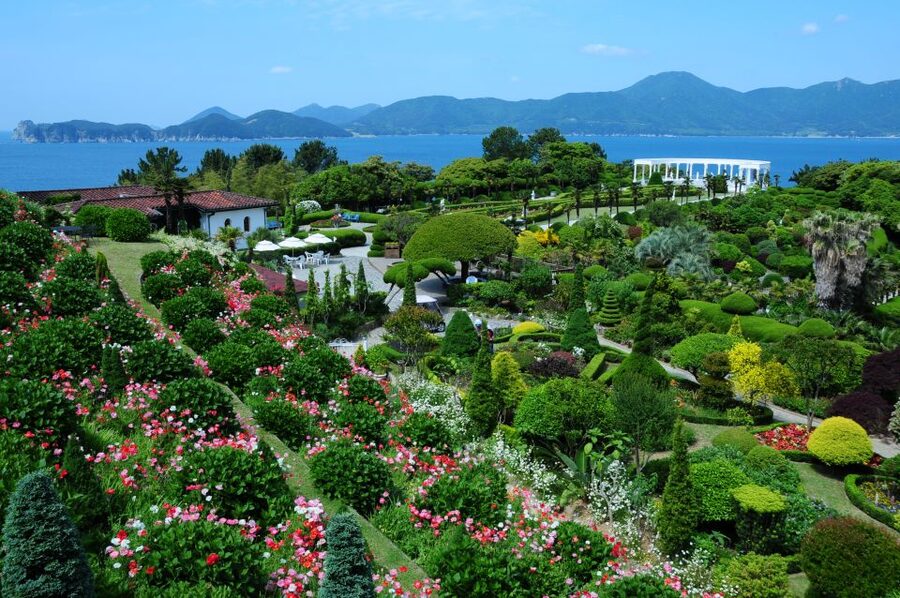From Busan: Enchanting Oedo Island Day Tour with Windy Hill - Should you book the $91 Oedo Island tour?
