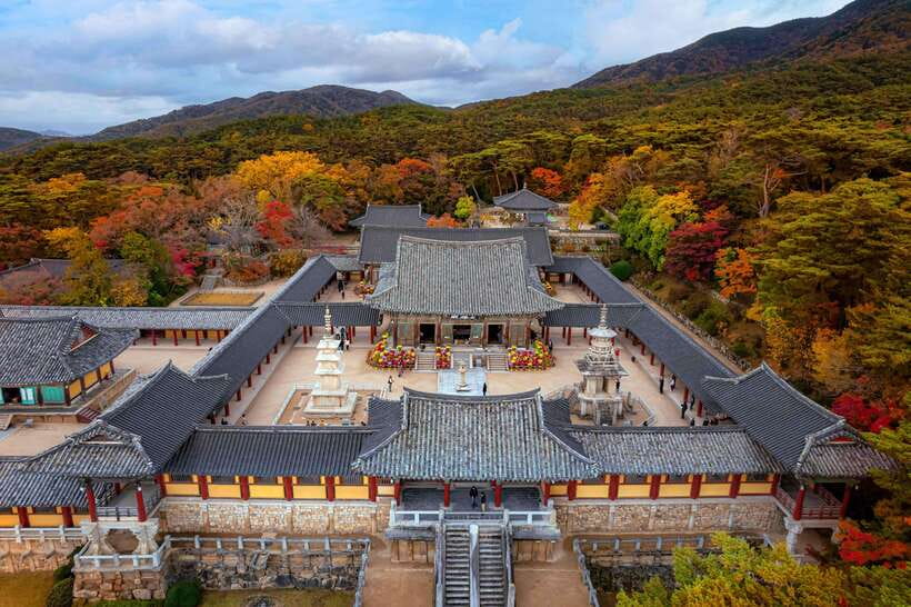 From Busan: Gyeongju Full-Day Historical Tour - Bulguksa Temple sets the tone