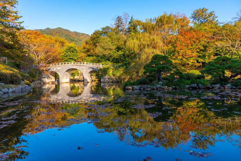 From Busan: Gyeongju Historical Day Tour with Sky Capsule - Bulguksa and the Silla world