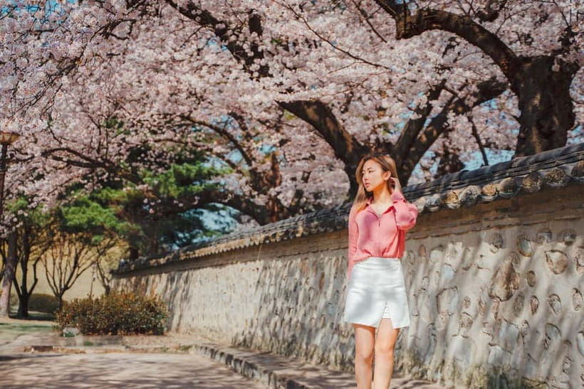 From Busan: Gyeongju Small Group Photo Tour & Hotel Pick-up - Millennium Forest Gardens for a quieter change