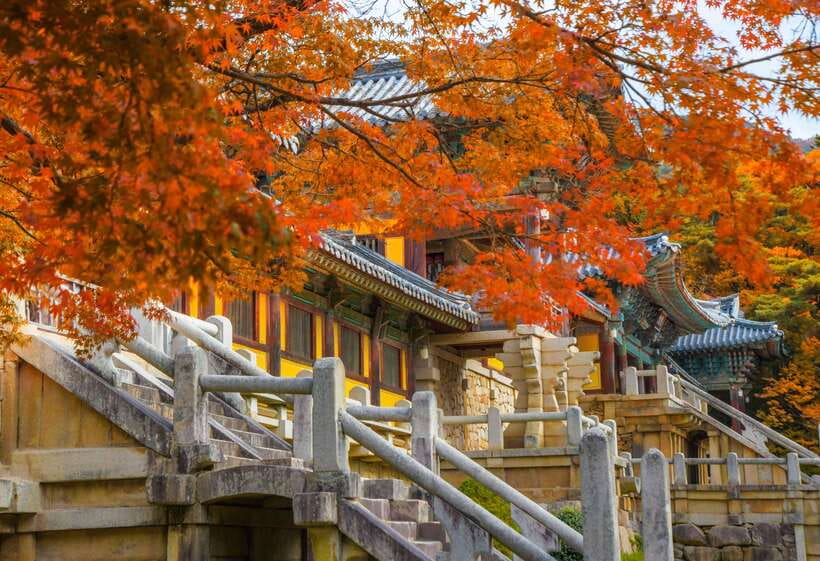 From Busan: Gyeongju UNESCO World Heritage Guided Day Tour - Key points at a glance