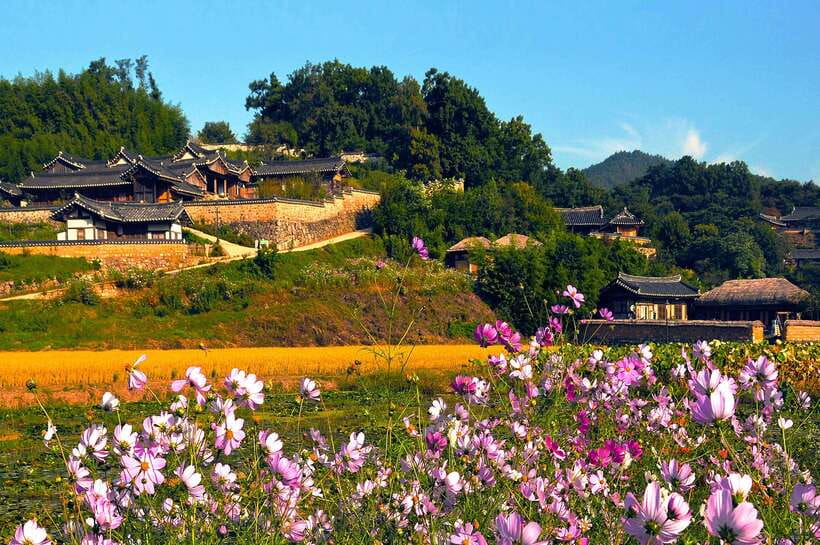 From Busan: Gyeongju UNESCO World Heritage Guided Day Tour - What Package C gives you instead