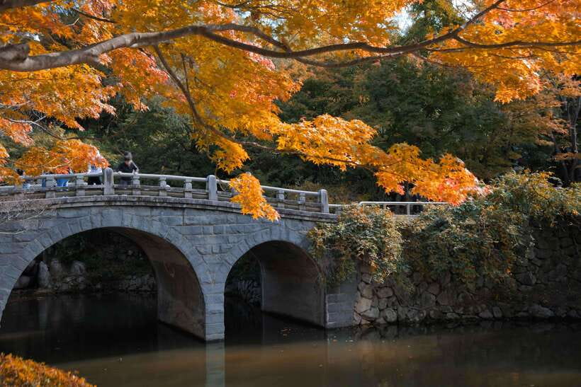 From Busan: Gyeongju UNESCO World Heritage Guided Day Tour - Yangdong Village or Gyochon Traditional Village