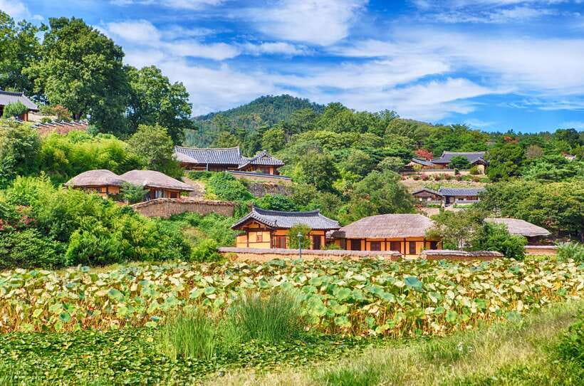From Busan: Gyeongju UNESCO World Heritage Guided Day Tour - Donggung Palace and Wolji Pond after dark