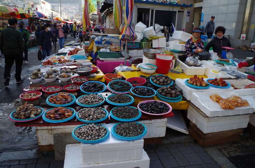 From Seoul: 5-Day Tour of Korea with UNESCO Sites - Day three: Jinju and Busan’s seafood quarter