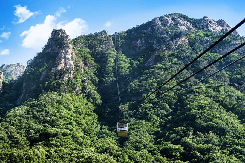 From Seoul: 5-Day Tour of Korea with UNESCO Sites - Who should book this five-day tour?