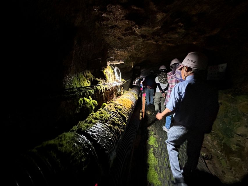 From Seoul: Cheorwon DMZ and 2nd Tunnel Tour with Lunch - What $95 really gets you