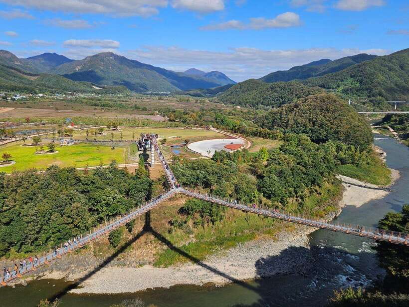 From Seoul: DMZ 2nd Tunnel & Y Shaped Suspension Bridge Tour - Key points at a glance