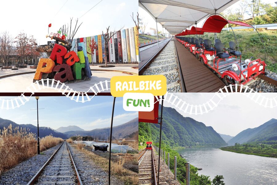 From Seoul: Full Day Trip to Alpaca Farm with Rail Bike - Vivaldi Park and the luge choice