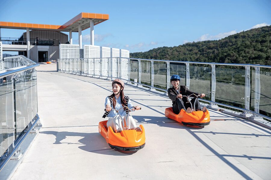 From Seoul: Full Day Trip to Alpaca Farm with Rail Bike - Alpaca World, beyond the alpacas