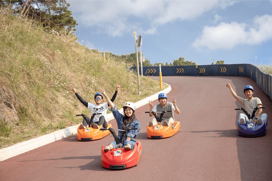 From Seoul: Full Day Trip to Alpaca Farm with Rail Bike - What the long day feels like