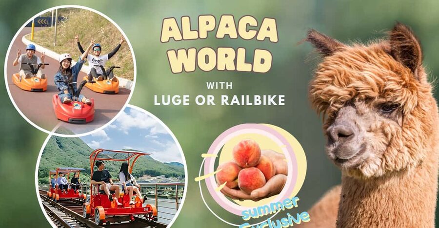 From Seoul: Full Day Trip to Alpaca Farm with Rail Bike - My booking advice