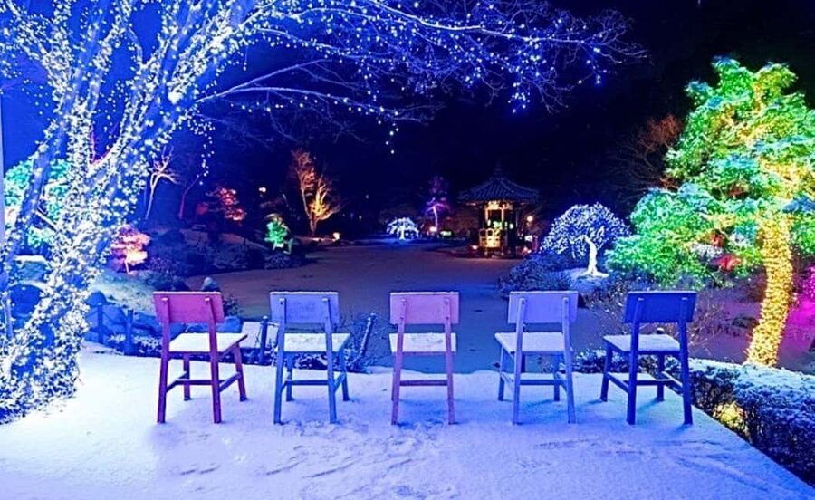 From Seoul: Hwacheon Ice Fishing and Lighting Festival Tour - Ice sleds, bobsleds, and family time