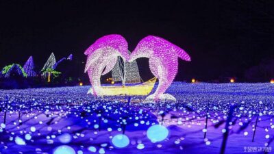 Hwacheon Ice Fishing and Lighting Festival Tour