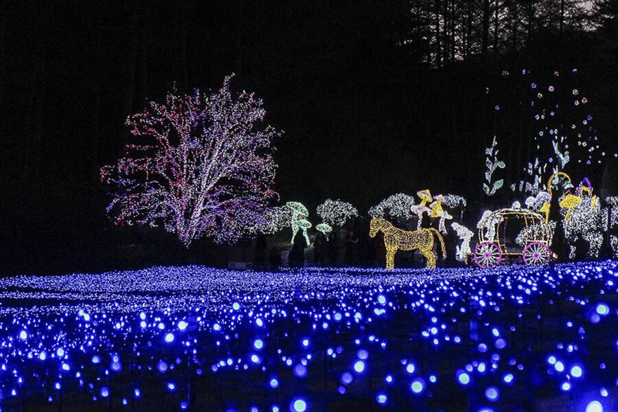 From Seoul: Hwacheon Ice Fishing and Lighting Festival Tour - Garden of Morning Calm after sunset