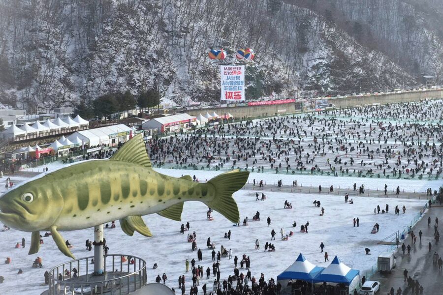 From Seoul: Hwacheon Ice Fishing and Lighting Festival Tour - Who will enjoy this winter outing