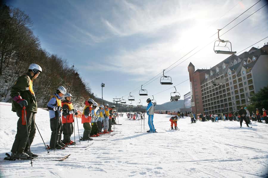 From Seoul: Korea Ski Tour - Jisan Forest Resort - Why Jisan works for a quick ski escape from Seoul