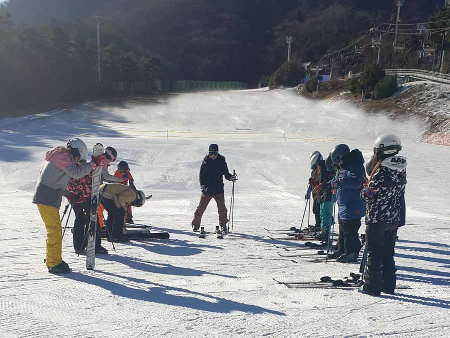 From Seoul: Korea Ski Tour - Jisan Forest Resort - A quieter resort feel and winter scenery
