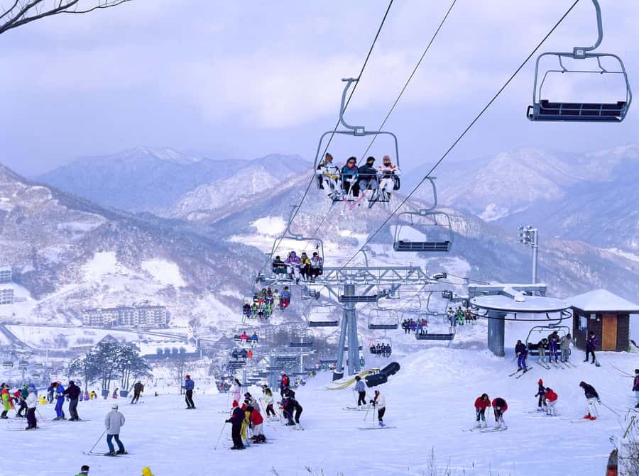From Seoul: Korea Ski Tour - Jisan Forest Resort - Starting before sunrise in central Seoul