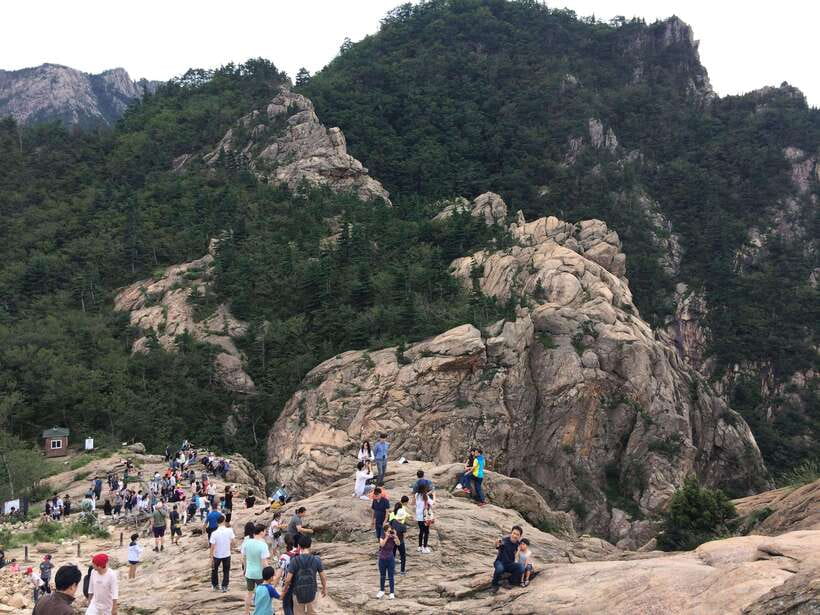 From Seoul: Korea Spring Cherry Blossom Day Tour - Seoraksan for mountain scenery and trails