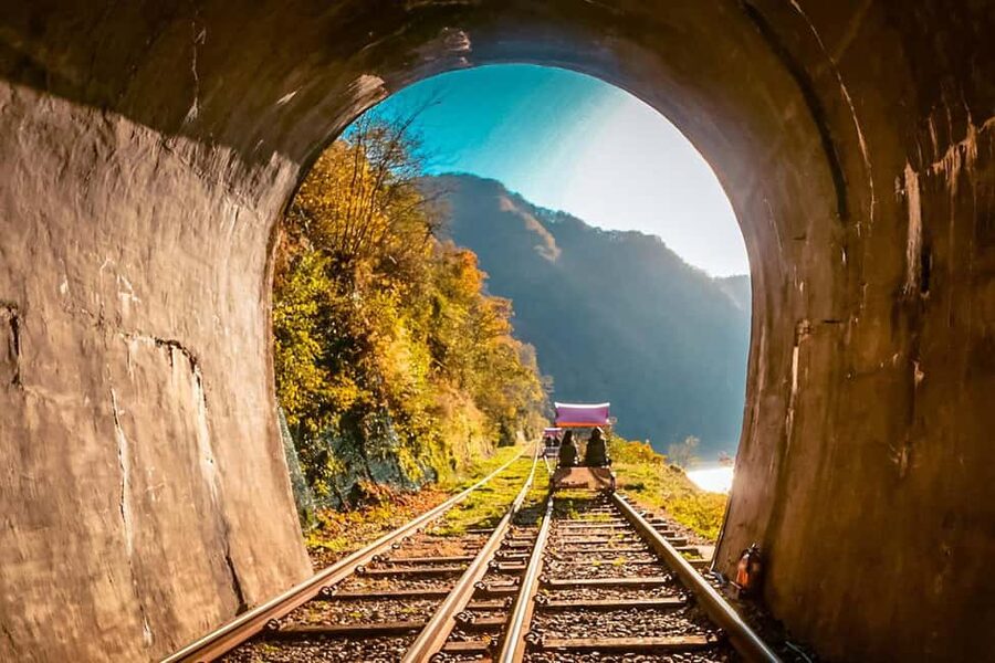 From Seoul: Nami Island, K-drama Garden & Rail Bike Day Tour - Why this day trip works so well from Seoul