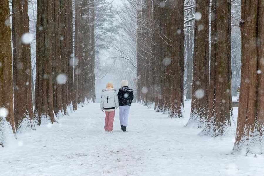 From Seoul: Nami Island, K-drama Garden & Rail Bike Day Tour - Garden of Morning Calm in changing seasons
