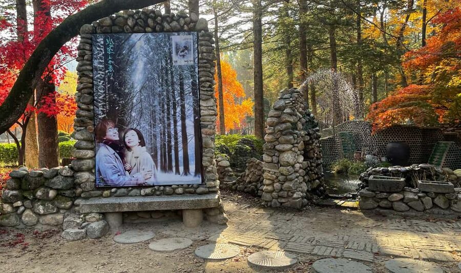 From Seoul: Nami Island, K-drama Garden & Rail Bike Day Tour - Lunch is a break, not part of the ticket