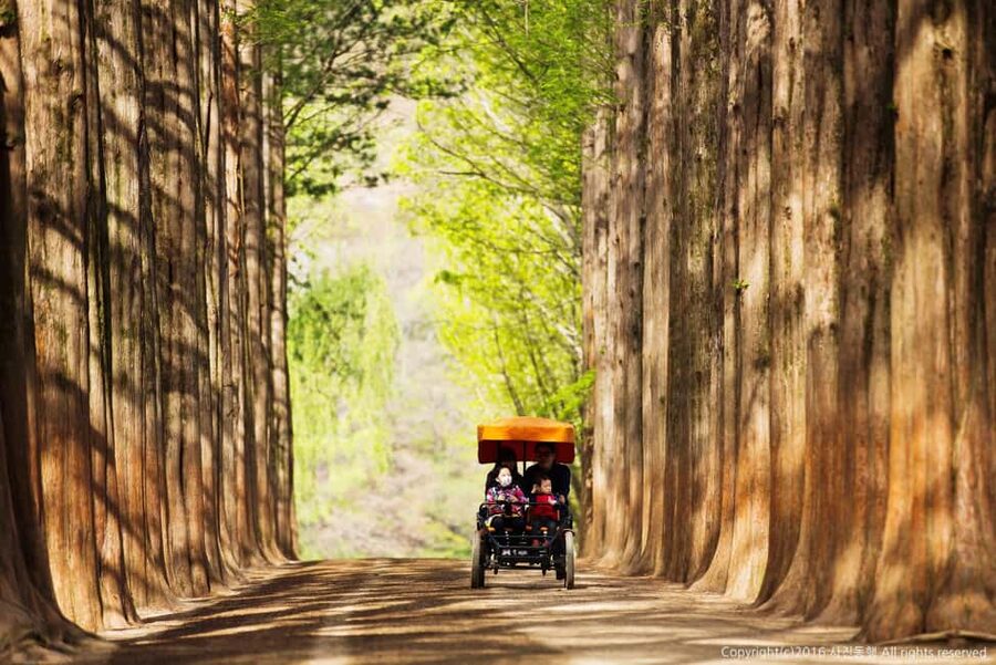 From Seoul: Nami Island, K-drama Garden & Rail Bike Day Tour - Guides make the long day easier