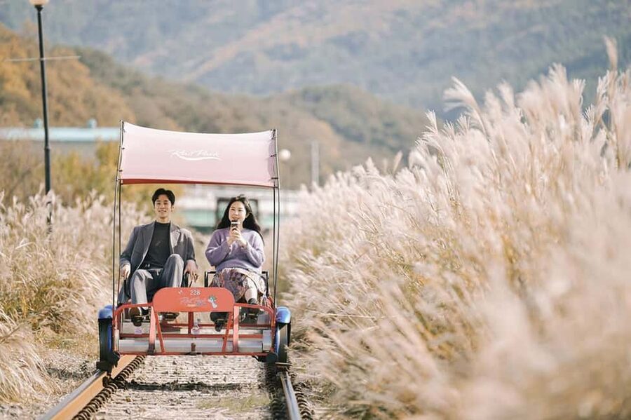 From Seoul: Nami Island, K-drama Garden & Rail Bike Day Tour - Leaving Seoul in comfort
