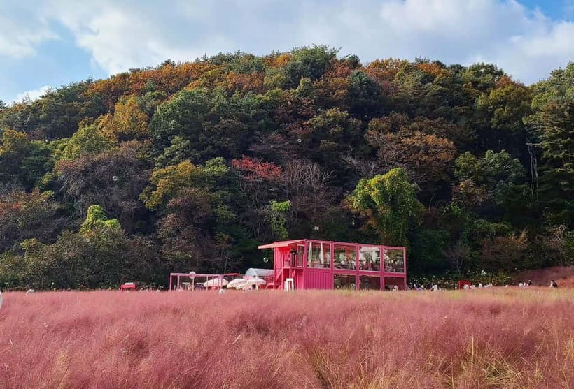 From Seoul: Pocheon, Sanjung Lake and Bidulginang Fall Trip - Why this Pocheon day trip works